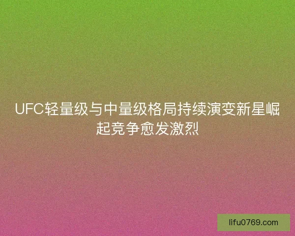 UFC轻量级与中量级格局持续演变新星崛起竞争愈发激烈